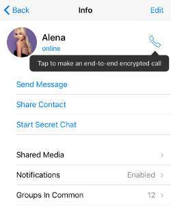 Update Telegram Terbaru Sudah Bisa Voice Call