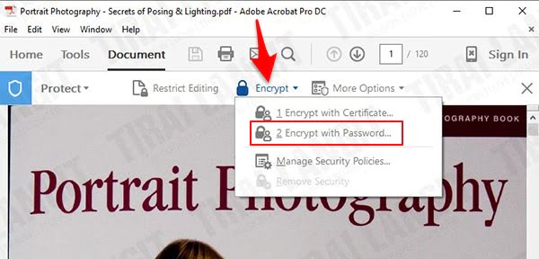 pilih encrypt untuk proteksi pdf