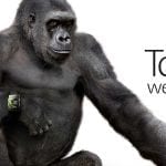 Gorilla Glass, Seberapa Kuat Kaca Anti Gores Ini Sesungguhnya?