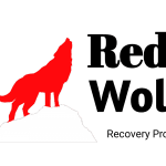 Baru! Cara Pasang TWRP RedWolf Redmi 3 / 3 Pro (Ido) Support OTA