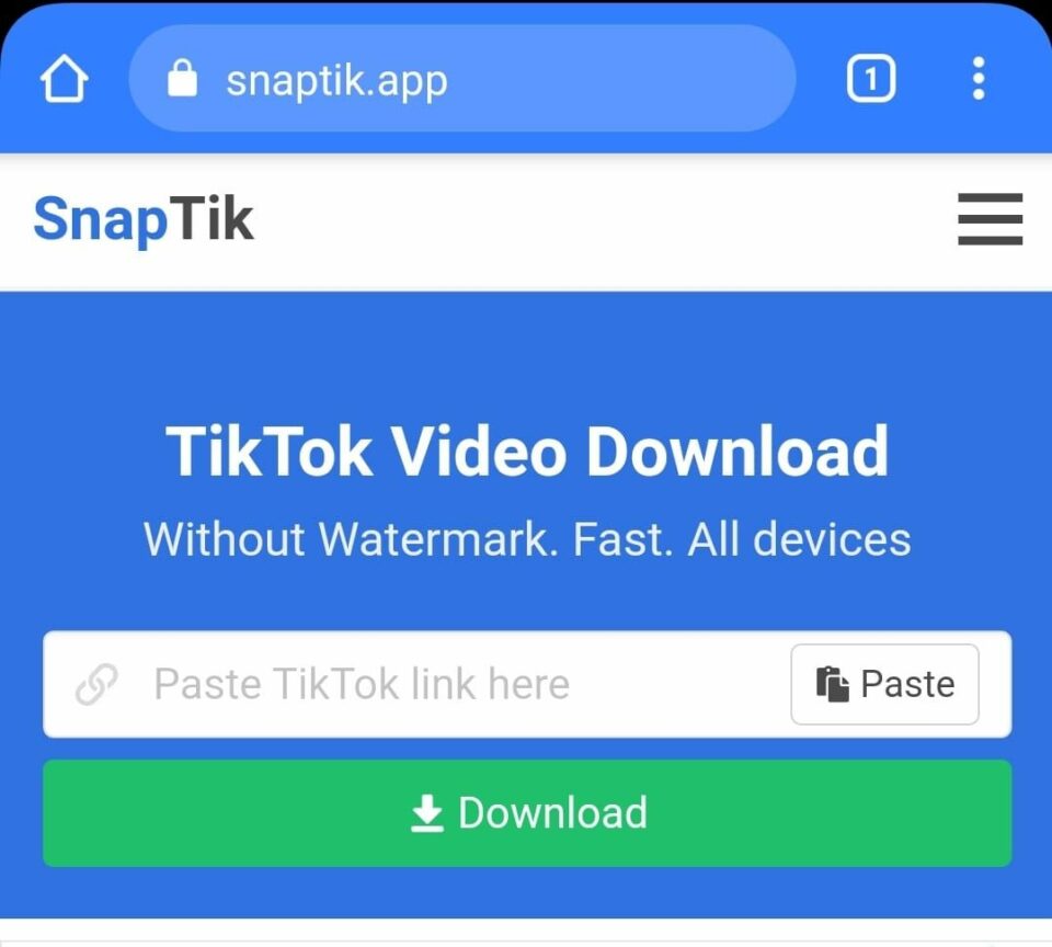 Paste-link-video-dari-Tiktok-pada-kolom-yang-tersedia-di-aplikasi-SnapTik