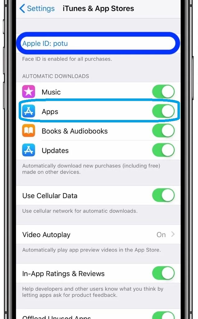 Pastikan-telah-klik-opsi-Izinkan-untuk-setting-Menginstal-App cara download aplikasi di iphone