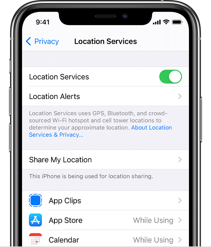 Pilih-opsi-Privacy-Services cara mengaktifkan lokasi di iphone