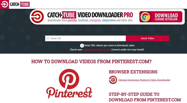 Pilih-situs-yang-bertuliskan-How-To-Download-Video-From-Pinterest.com